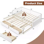 Divano letto estendibile da una piazza e mezza a matrimoniale con 2 cassetti portaoggetti